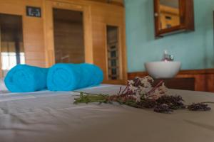 Hotel Cinque Colori Bed & Breakfast-Spa