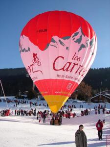 LES CARROZ LE LAYS cosy apartment 40M2 vue montagne plein sud