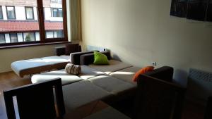 Pine Tree Apartment 2 - B7