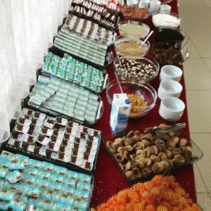 Osmaniye Hanedan Otel