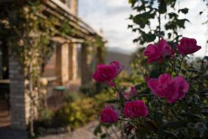 Tuscany Forever Premium Apartments