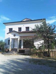 Apartment Narcisa with Terrace