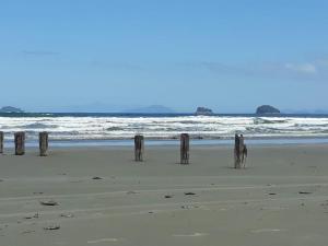 Chalés canto de praias em ubatuba