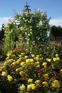 B&B / Chambres d'hotes MAS DES FIGUES - Mas XVIIIe tres calme - Certifie Biologique FRBio10 - jardin naturel ecologique - piscine 12x6 - Copieux brunch paysan mediterraneen cuisine du jardin huile d'olive - Agritourisme Alpilles Saint Remy de Provence du 01 mai au 30 septembre : photos des chambres