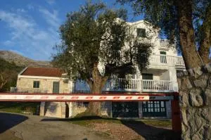 Apartments TMV Dragovic - Vrijesno