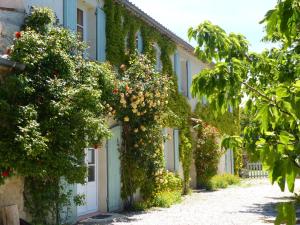 B&B / Chambres d'hotes La Ferme du petit Segries Bed and Breakfast : photos des chambres