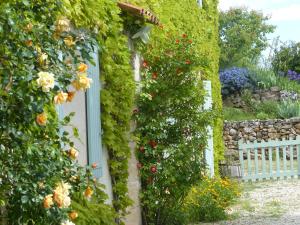 B&B / Chambres d'hotes La Ferme du petit Segries Bed and Breakfast : photos des chambres