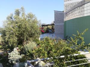 Stone House in olive grove Argolida Greece