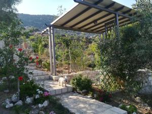 Stone House in olive grove Argolida Greece