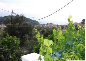 Harry's Studios 1 Paxoi Greece