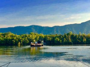 Daintree Manor B&B
