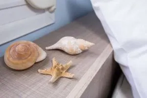 Villa Pavlina - 奥林匹亚达