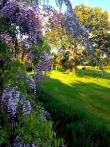 Agriturismo Li Scopi img35