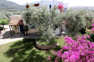 Katerina's Bungalows Evia Greece