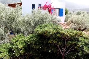 Katerina's Bungalows Evia Greece