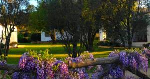 Agriturismo Li Scopi img53