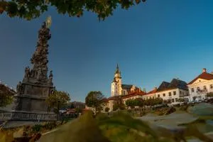 Apartmany Zechenterova - 克雷姆尼察