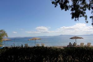 Katerina's Bungalows Evia Greece