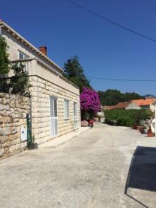 Apartmani Luce