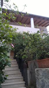 Casa Engy