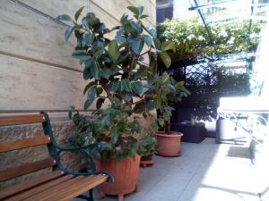 Apartamento de 3 dormitorios