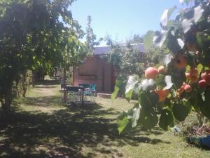 Complejo Los Ciruelos