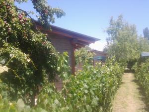 Complejo Los Ciruelos