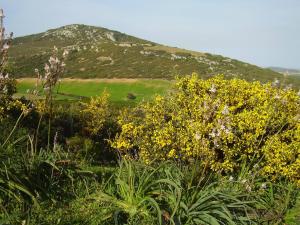 Agriturismo Cuile de Molino img75