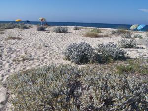 Agriturismo Cuile de Molino img73