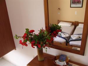 Irene Studios Kos Greece