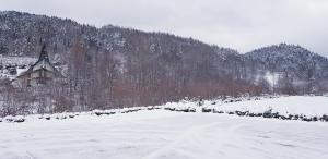 Daglezja