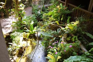 Mountain View GuesthouseChiangmai
