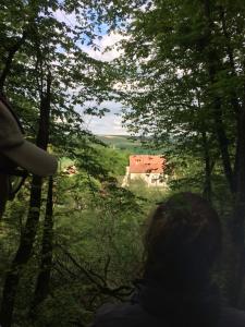 Abbaye de Reigny - Esprit de France