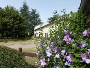 Villa 4 avec Psicine Chauffée & Spa- Luxe et Nature - Cauzac