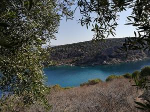 Stone House in olive grove Argolida Greece