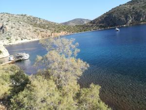 Stone House in olive grove Argolida Greece