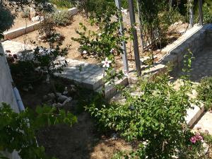 Stone House in olive grove Argolida Greece