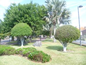 Elana Apartment with FREE WIFI