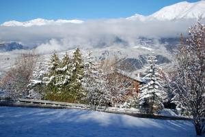 Chalets Le Clos Du Berger : photos des chambres