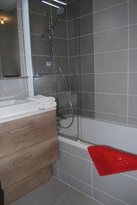 Appartements LE DOMAINE DU PATRE : Appartement