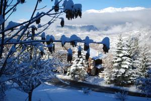 Chalets Le Clos Du Berger : photos des chambres