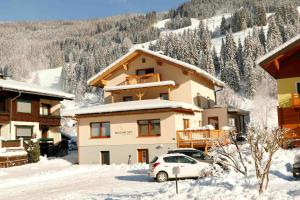 Apartement Haus am Lift Kleinarl Austria