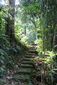 Pousada Sitio Araribá