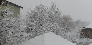 Kyurkchievi Guest House