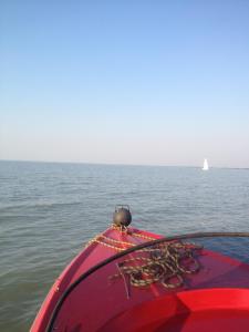 Seehütte Neusiedlersee - Pfahlbau GlamPing
