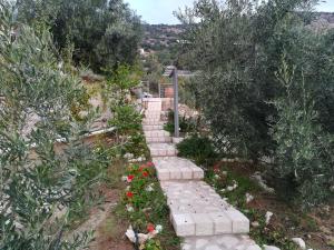 Stone House in olive grove Argolida Greece