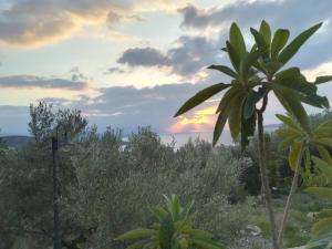 Stone House in olive grove Argolida Greece