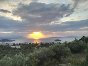 Stone House in olive grove Argolida Greece