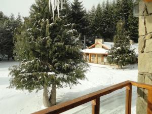 Unquehue Apartamentos Dormis