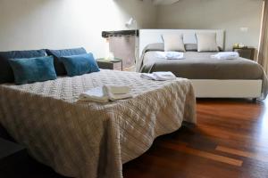 Plaium Montis Copeta